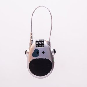 Helmet Lock