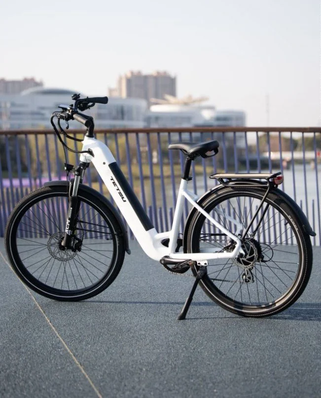 The Canada E-bike Market